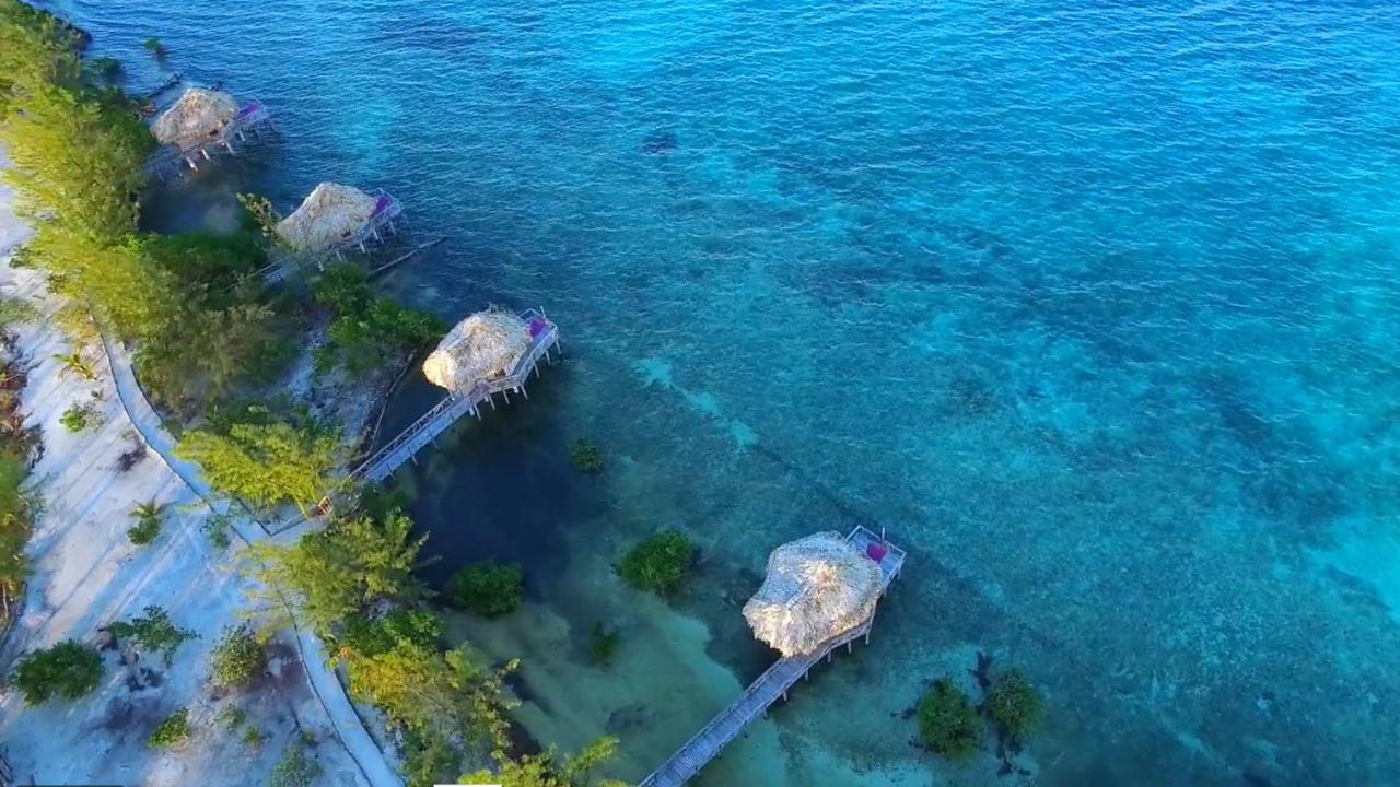 Thatch Caye Resort A Muy'Ono Resort Hopkins Eksteriør billede