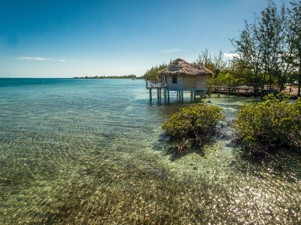 Thatch Caye Resort A Muy'Ono Resort Hopkins Eksteriør billede