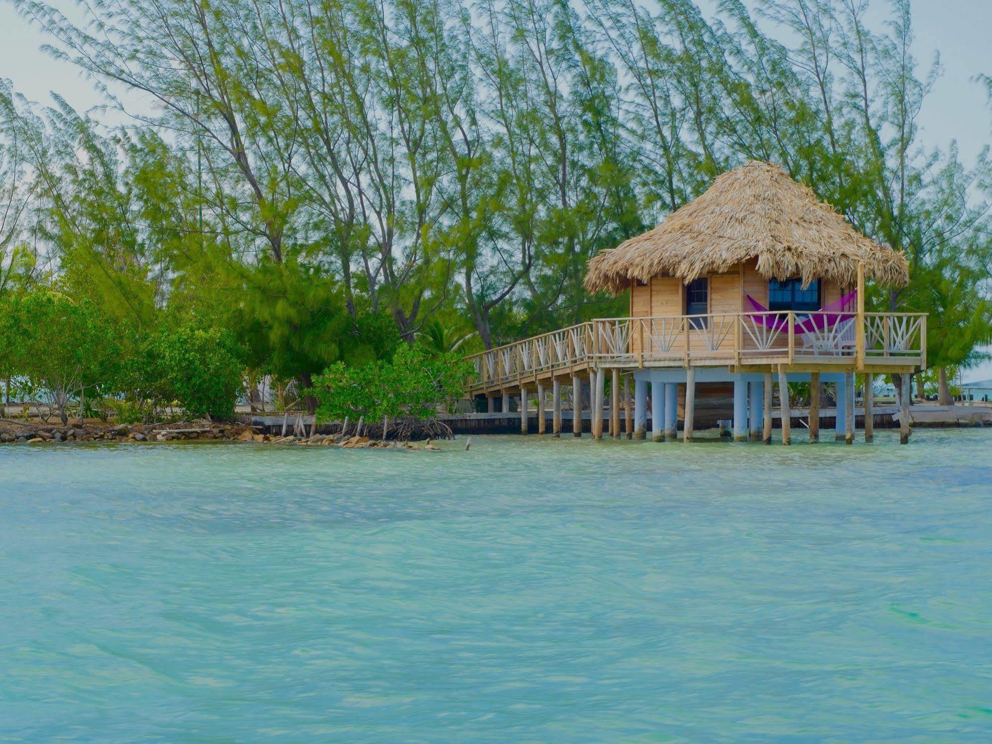 Thatch Caye Resort A Muy'Ono Resort Hopkins Eksteriør billede