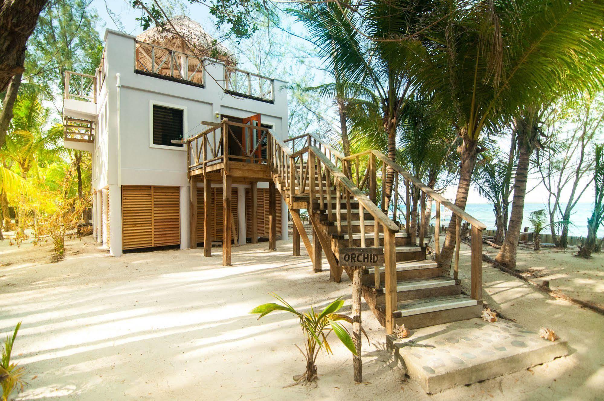 Thatch Caye Resort A Muy'Ono Resort Hopkins Eksteriør billede