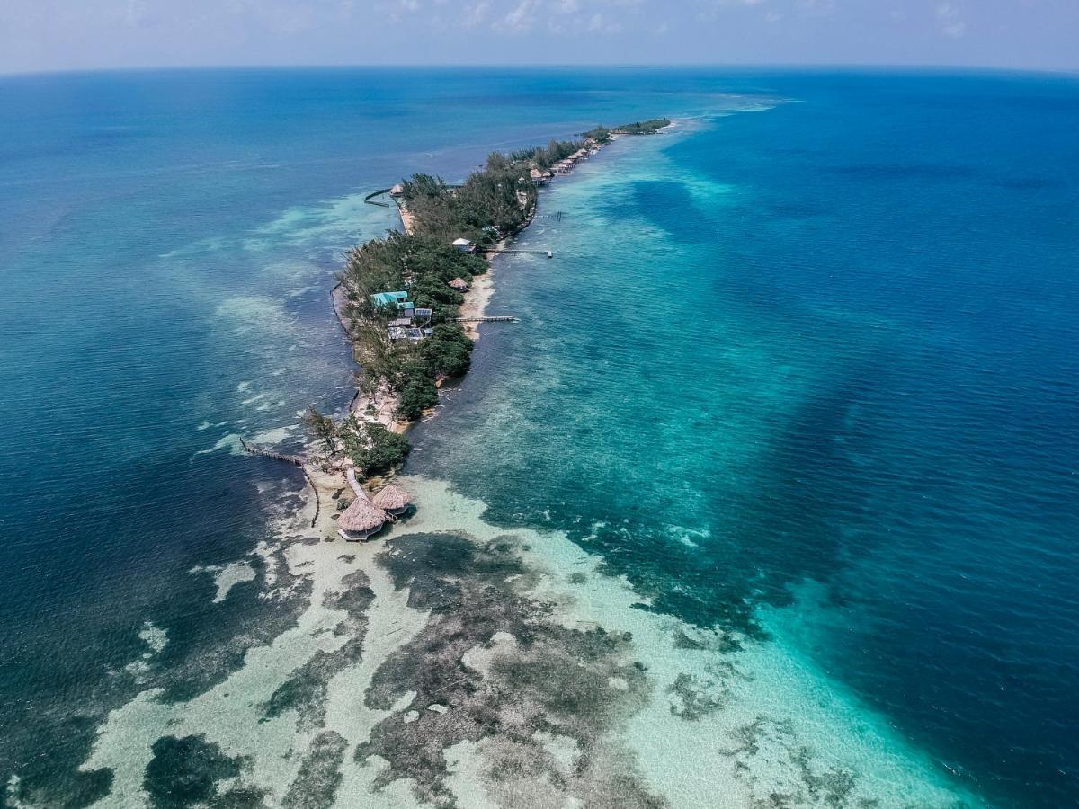 Thatch Caye Resort A Muy'Ono Resort Hopkins Eksteriør billede
