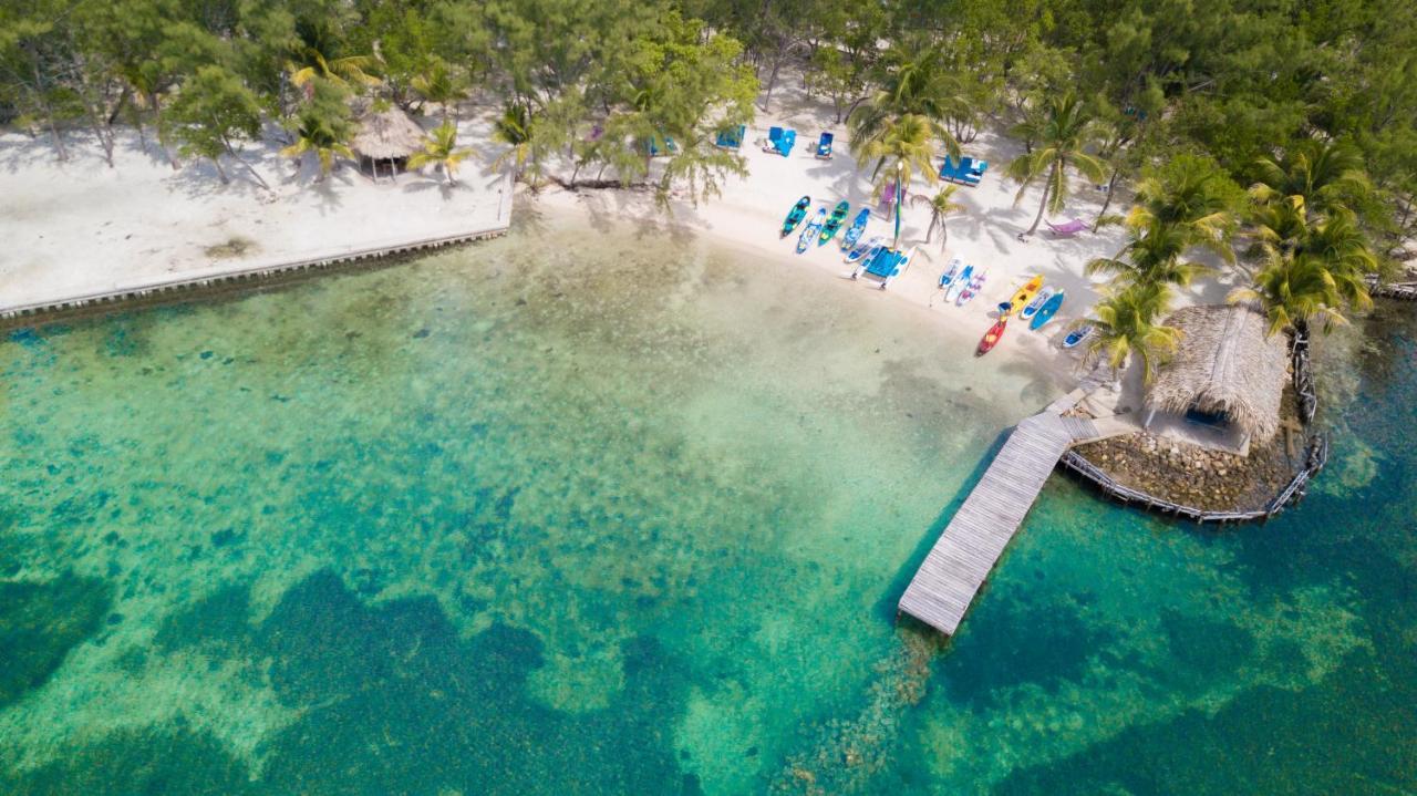 Thatch Caye Resort A Muy'Ono Resort Hopkins Eksteriør billede