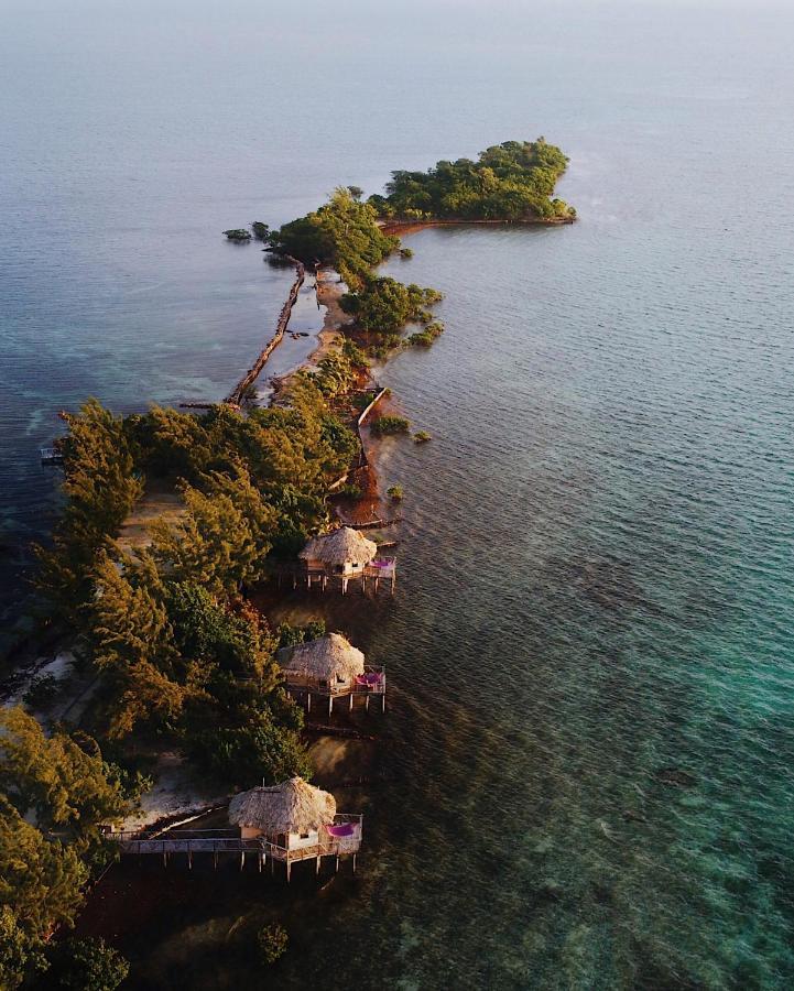 Thatch Caye Resort A Muy'Ono Resort Hopkins Eksteriør billede